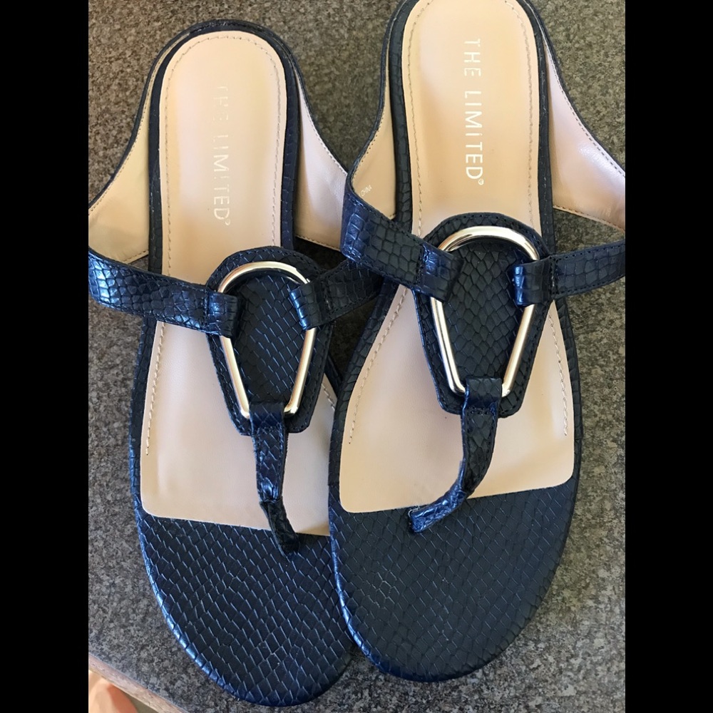 Size 9 The Limited navy sandals